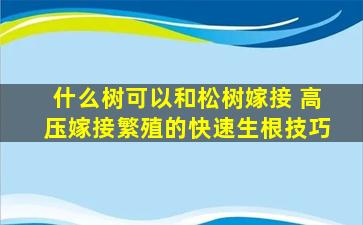 什么树可以和松树嫁接 高压嫁接繁殖的快速生根技巧